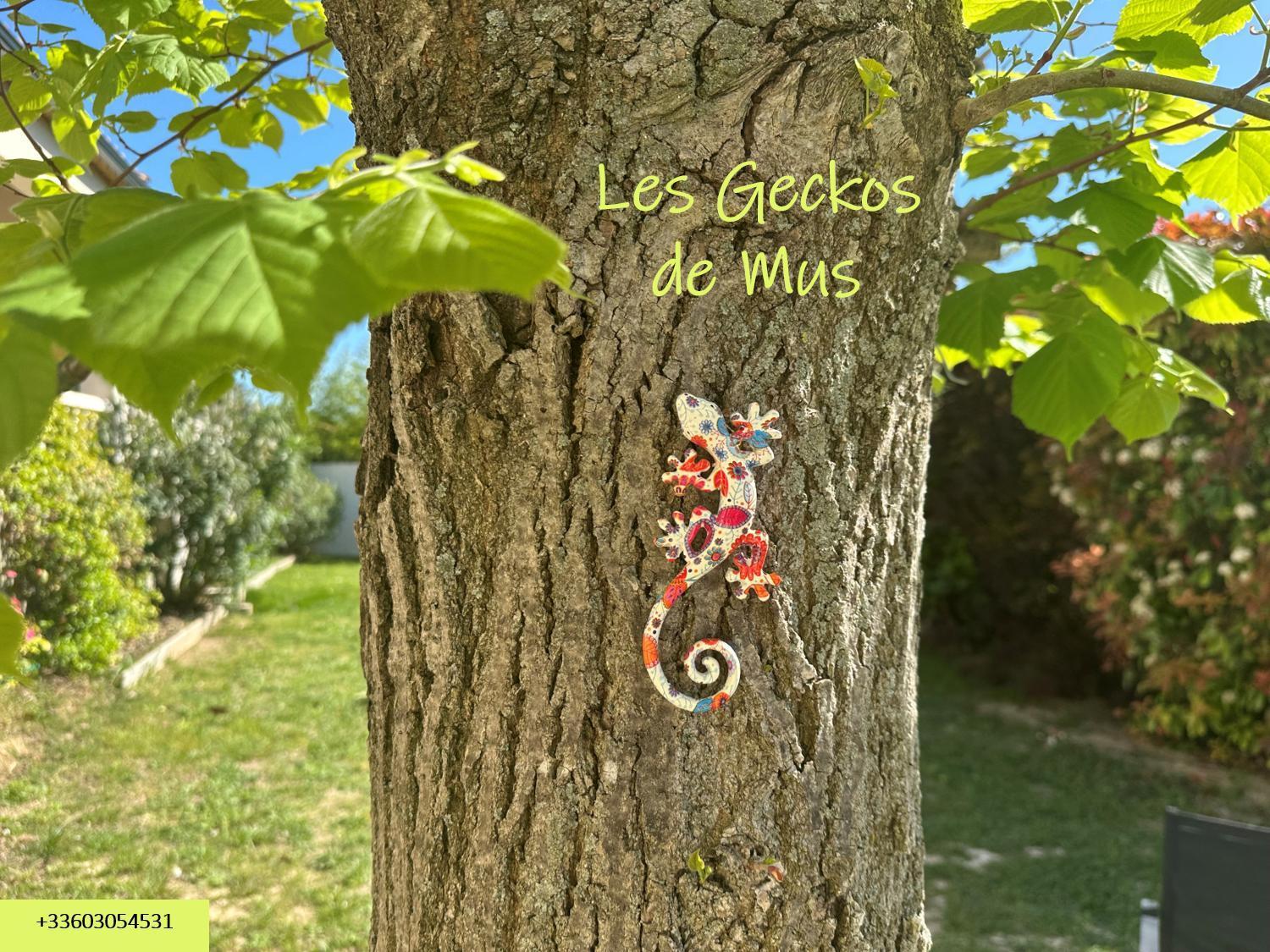 Les Geckos De Mus Apartment Bagian luar foto